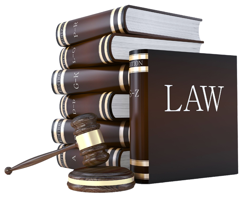 Is a Self Help Legal Book a Good Investment? - Barkan Research